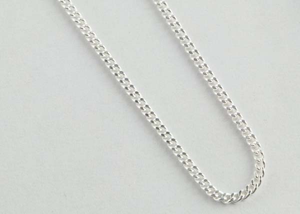 Chain Silver 20 Inch (50) Gb2l