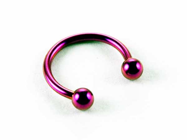 Body Piercing Eye Brow Ring 10mm Purple 2pcs