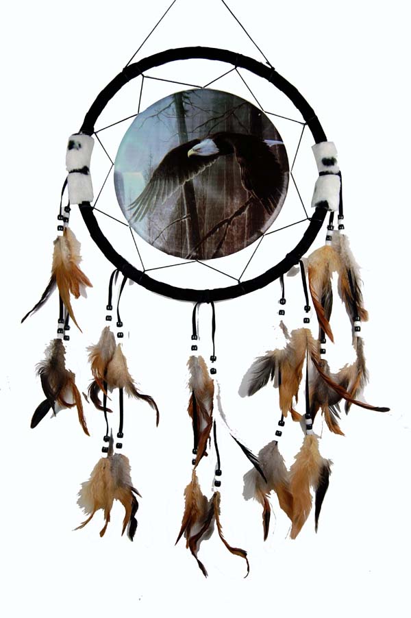 Dream Catcher Eagle With Waterfall