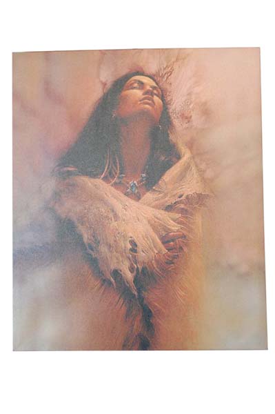 Frame Wooden Indian Tribe Lady H24xw20 Inch