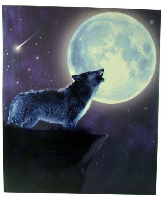 Frame Canvas Wolf On Cliff 60x50cm