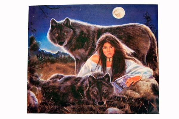 Frame Indian Lady With Wolves 50x60cm