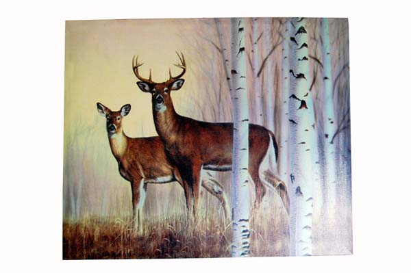 Frame With Deer 50x60cm