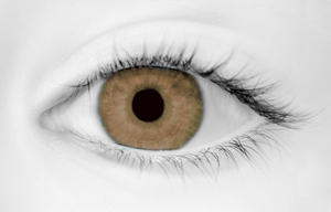 Fashion Eye Accessory Tint Hazel With Free Solution And Case