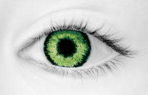 Fashion Eye Accessory Two Tone Green With Free Solution And Case