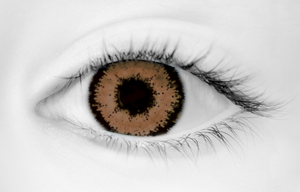 CONTACT LENS TWO TONE HAZEL