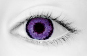 Fashion Eye Accessory Two Tone Violet With Free Solution And Cas