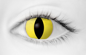 Fashion Eye Accessory Feline With Free Solution And Case
