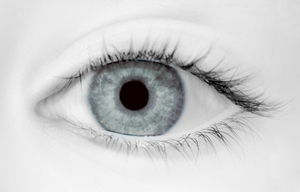 CONTACT LENS GREY