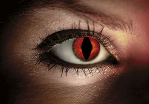 Fashion Eye Accessory Red Lizard With Free Solution And Case