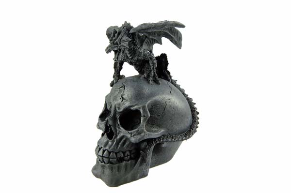 Dragon Sitting On Skull Head