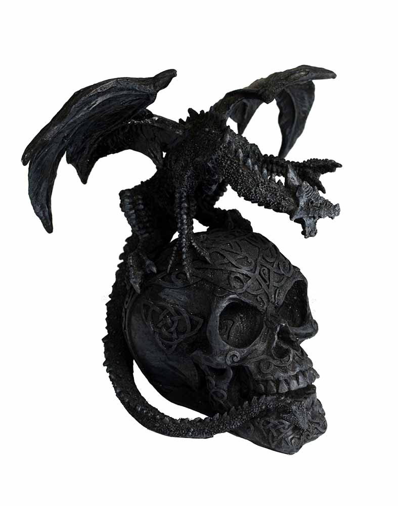 Dragon On Skull