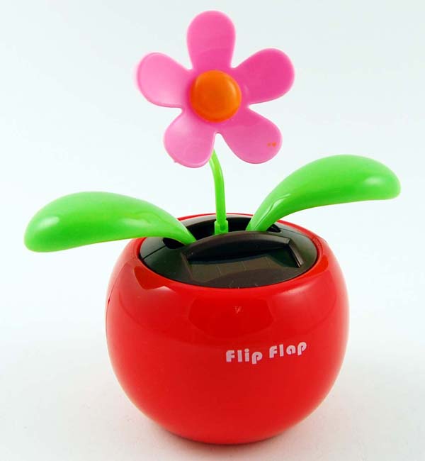 Flower And Apple Solar