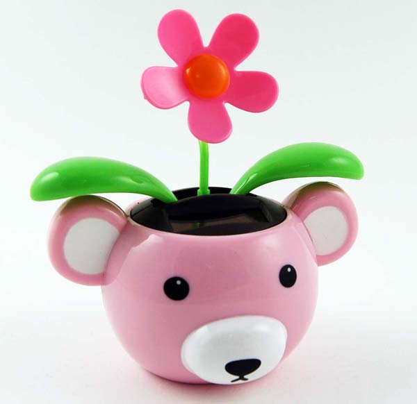 Flower And Bear Solar