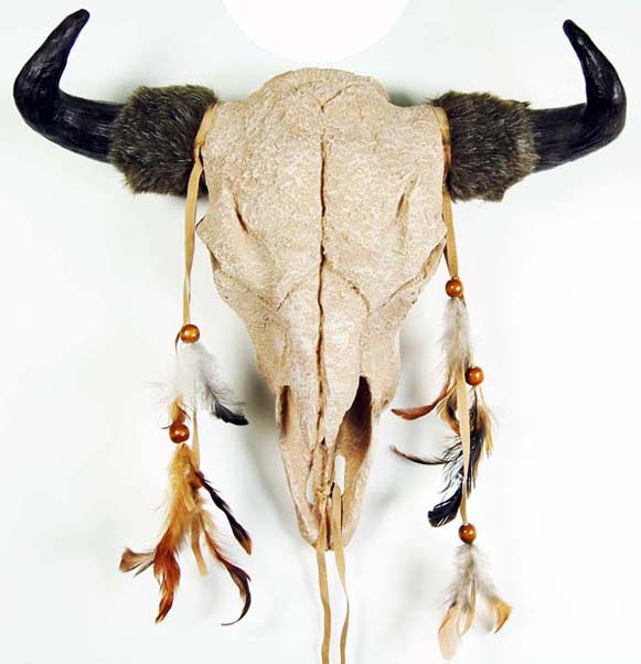 Cattle Head 43x42cm