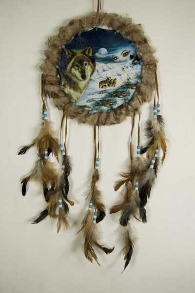 Dream Catcher Turquoise Wolves In Snow 10 Inch