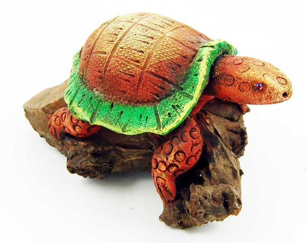 Tortoise Wood