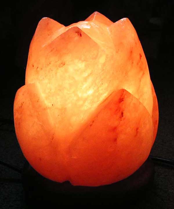 Salt Lamp Tulip With Wooden Base H17.5xw11cm