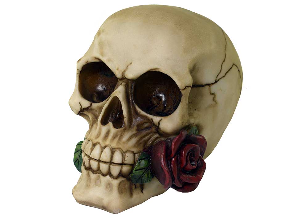 Skull With Rose 10X15X12cm