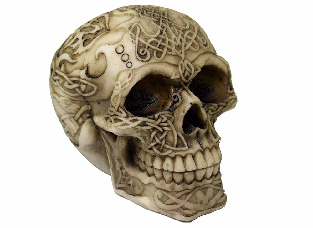 Skull 8.5X12X9.5cm
