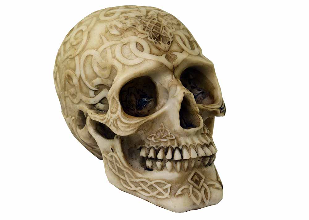 Skull 16X10.5X11.5cm