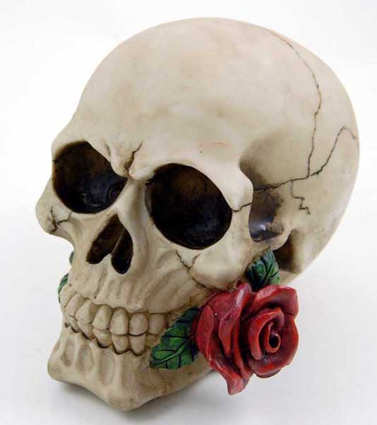 Skull With Rose 12X17.5X14cm