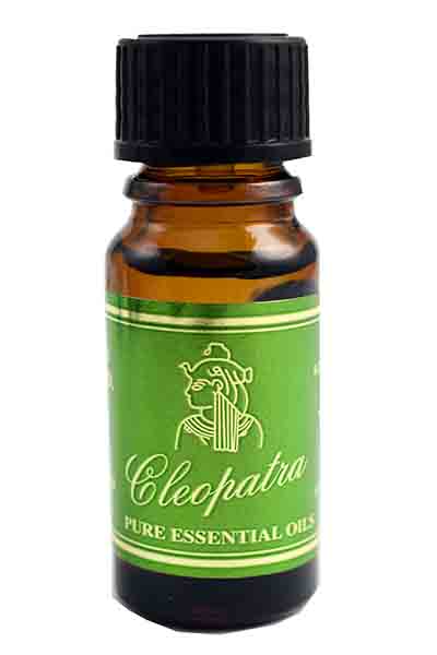 Oil Essential Peppermint 10ml Bottles